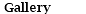 &nbsp;Gallery